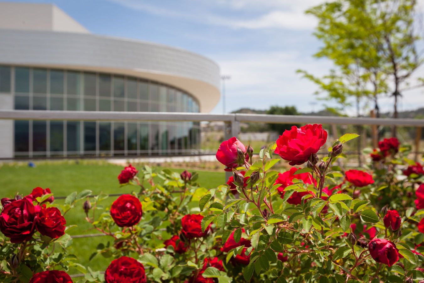 Photo of ENT center with roses in front