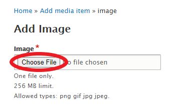Choose File Img Example