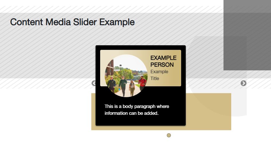 Content Media Slider Example Screenshot